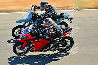 media/Nov-09-2024-2WTD (Sat) [[694fc593b7]]/Group B/Session 2 (Turns 4 5 and 6)/